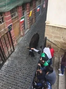 Foto 22 - Encierro y comida popular para el pen&uacute;ltimo d&iacute;a de San Miguel en &Aacute;greda