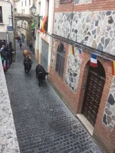 Foto 19 - Encierro y comida popular para el pen&uacute;ltimo d&iacute;a de San Miguel en &Aacute;greda