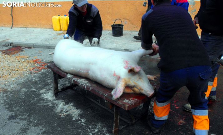 Matanza del cerdo en Arcos en una imagen de archivo./SN