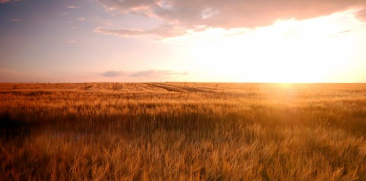 El presupuesto de Agricultura y Ganadería apuesta por el emprendimiento joven, la planificación industrial, las inversiones y los seguros agrarios 