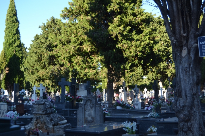 Casi 7.000 sepulturas sin actualizar en el cementerio de Soria