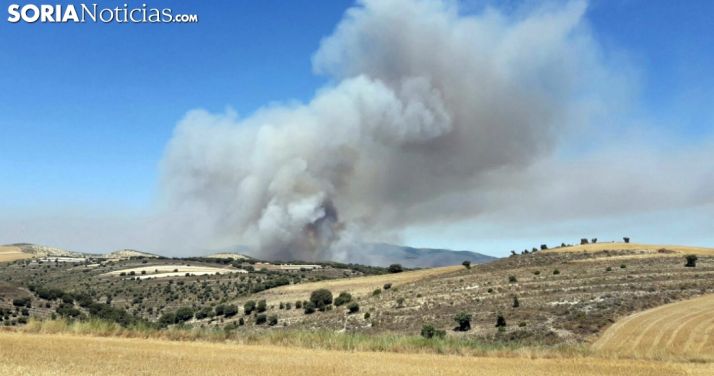 Columna de humo en el incendio de Cigudosa este verano./SN