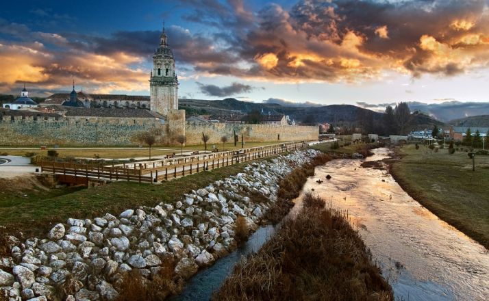 La foto ganadora de 2011.