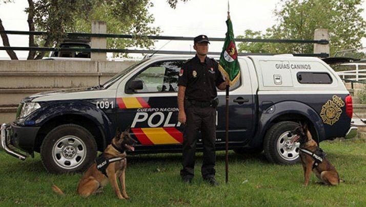 Un agente con dos de los perros de la unidad./CNP