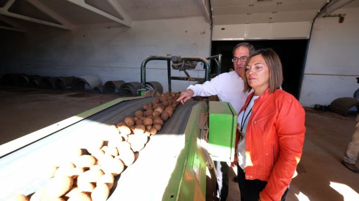 La consejera de Agricultura, Milagros Marcos, este lunes en Montorio (Burgos).)