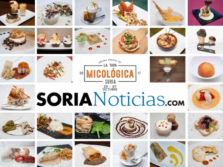 Tapa micológica Soria 2017