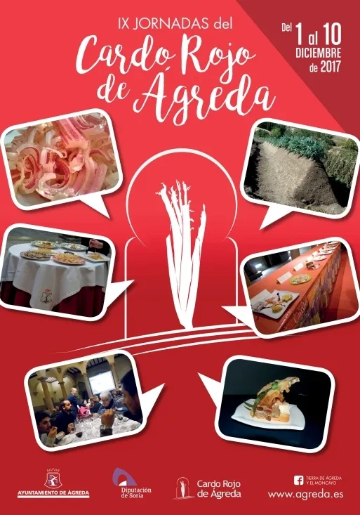 Foto 2 - &Aacute;greda se prepara para sus IX Jornadas del Cardo Rojo