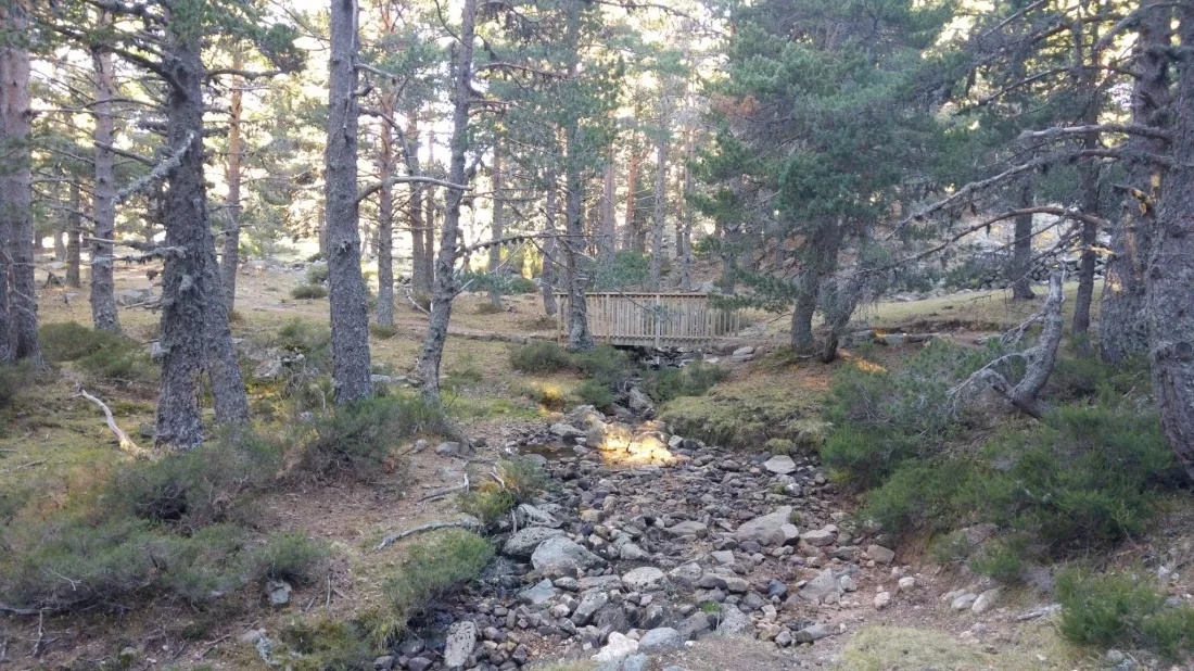 Arroyo sin agua a 1.780 metros. / Agustín Sandoval @meteoduruelo 