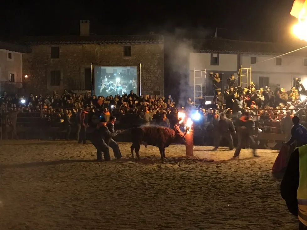 Foto 11 - GALER&Iacute;A FOTOS. Toro Jubilo de Medinaceli 2017