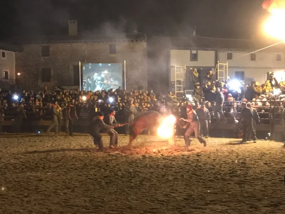 Foto 10 - GALER&Iacute;A FOTOS. Toro Jubilo de Medinaceli 2017