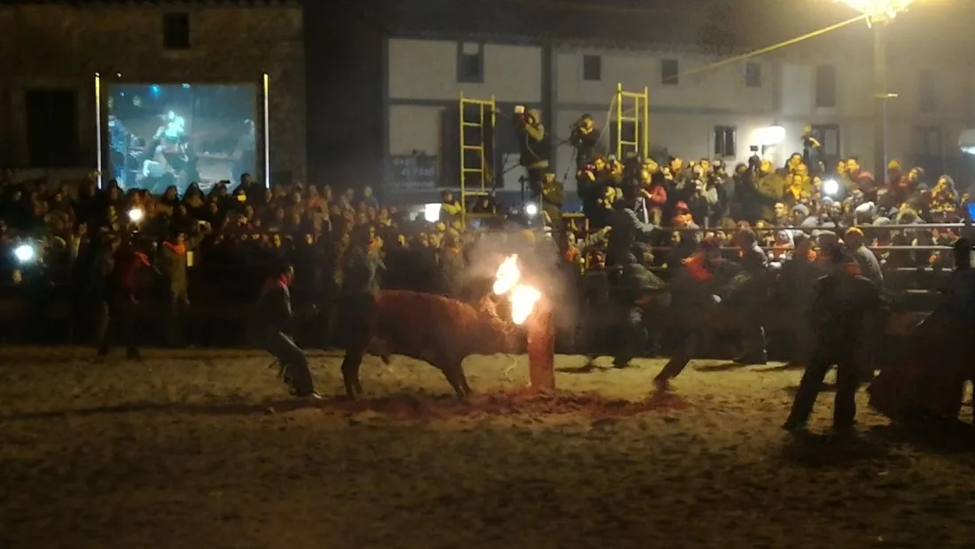 Foto 9 - GALER&Iacute;A FOTOS. Toro Jubilo de Medinaceli 2017