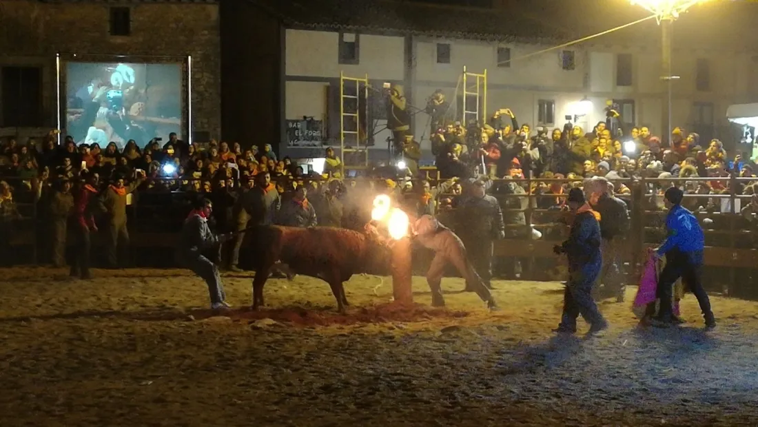 Foto 7 - GALER&Iacute;A FOTOS. Toro Jubilo de Medinaceli 2017