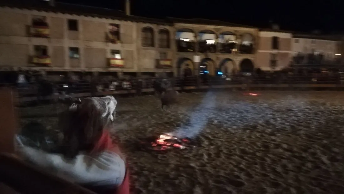 Foto 2 - GALER&Iacute;A FOTOS. Toro Jubilo de Medinaceli 2017
