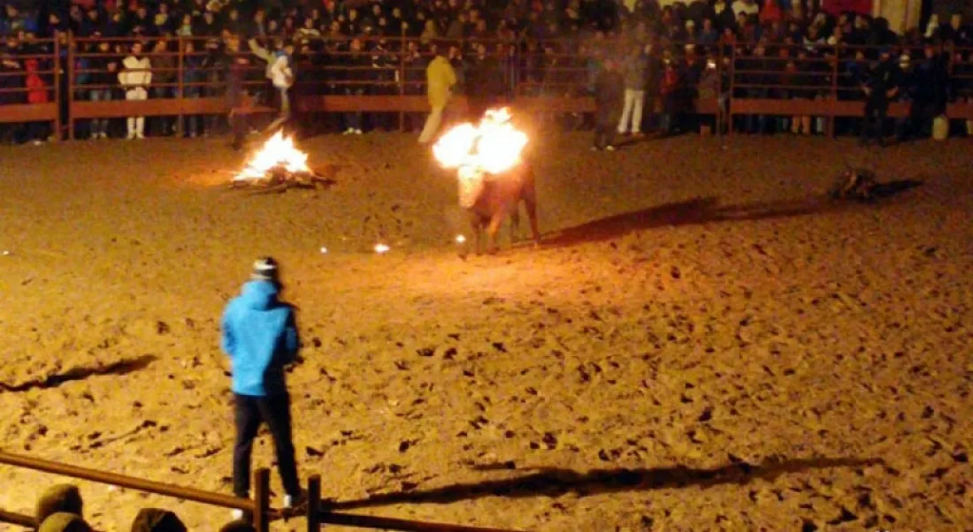 Imagen del Toro Jubilo, con el palacio de Medinaceli al fondo. /SN