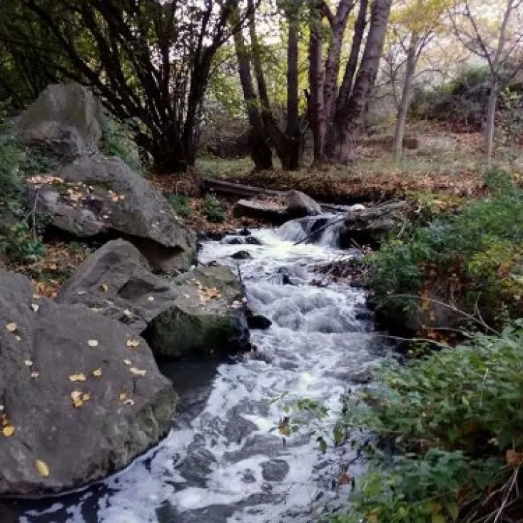 Imagen reciente del río Val, según Asden. 