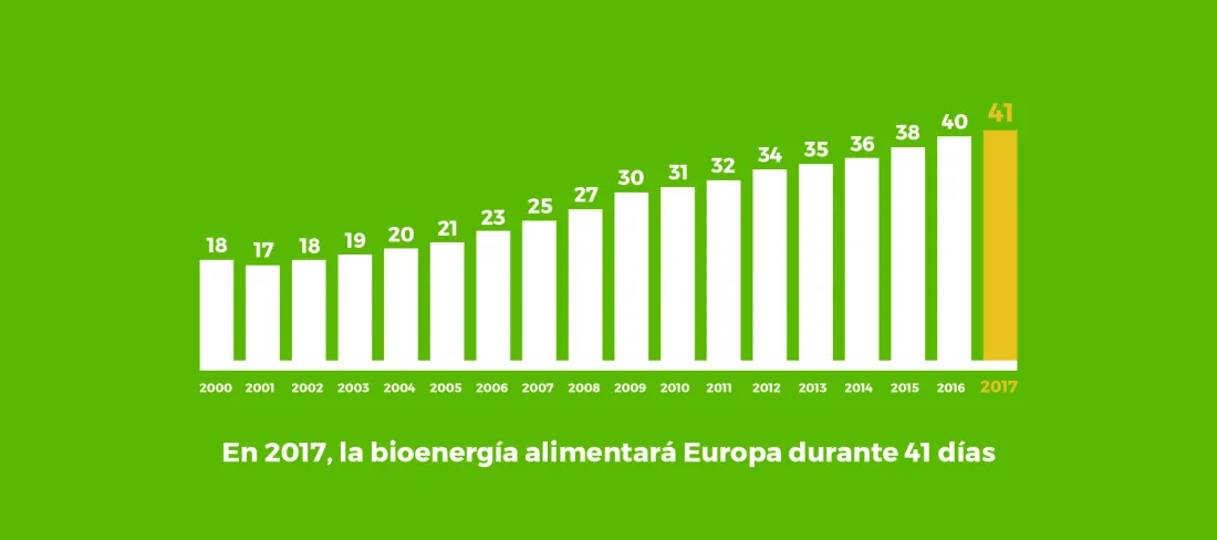 Foto 2 - La biomasa podr&iacute;a atender toda la demanda energ&eacute;tica de Europa del 21 de noviembre al 31 de diciembre