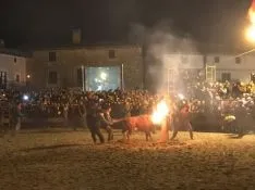 Foto 23 - GALER&Iacute;A FOTOS. Toro Jubilo de Medinaceli 2017