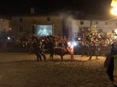 Foto 11 - GALER&Iacute;A FOTOS. Toro Jubilo de Medinaceli 2017