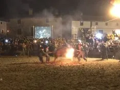 Foto 19 - GALER&Iacute;A FOTOS. Toro Jubilo de Medinaceli 2017