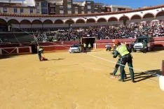 Foto 7 - Los escolares conocen c&oacute;mo &ldquo;salva muchas vidas&rdquo; el servicio de Monta&ntilde;a de la Guardia Civil