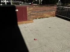 Foto 4 - Vecinos del Pico Frentes, molestos por la conducta de algunos de los alumnos