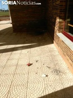 Foto 3 - Vecinos del Pico Frentes, molestos por la conducta de algunos de los alumnos