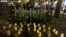 Foto 3 - Rosas contra la Violencia de G&eacute;nero