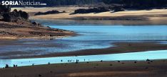 Foto 7 - GALERÍA: El pantano, un monumento a la sequía