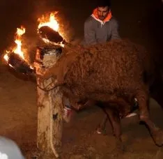 Foto 14 - GALER&Iacute;A FOTOS. Toro Jubilo de Medinaceli 2017