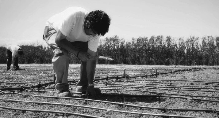 Trabajos en una parcela de Huertos de Soria./HdS