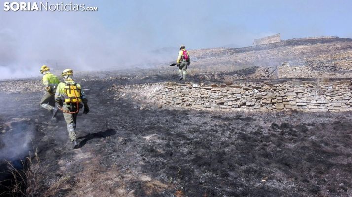 El incendio en Cigudosa, el más grave esta campaña en la provincia. /SN