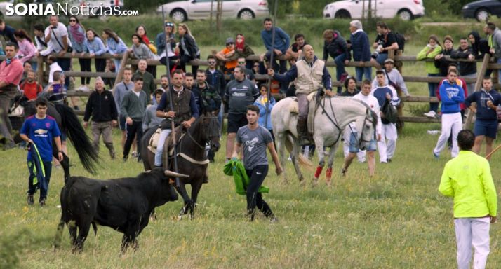 Imagen de La Saca de este año. /María Ferrer