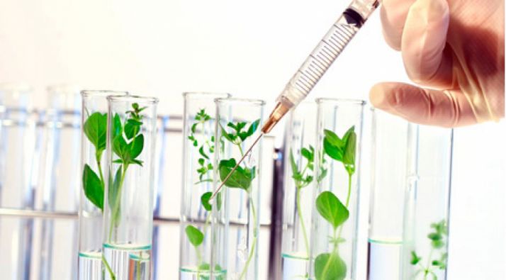 La empresa prevé invertir algo más de 2,5 M€./Soria Natural