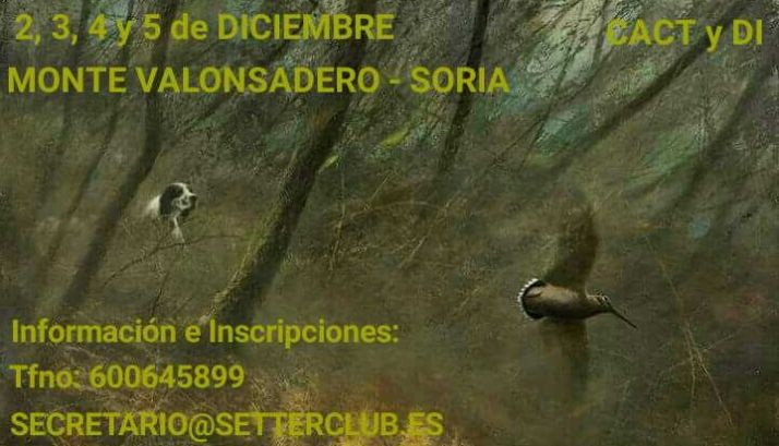 Espectáculo de caza con perros en Valonsadero