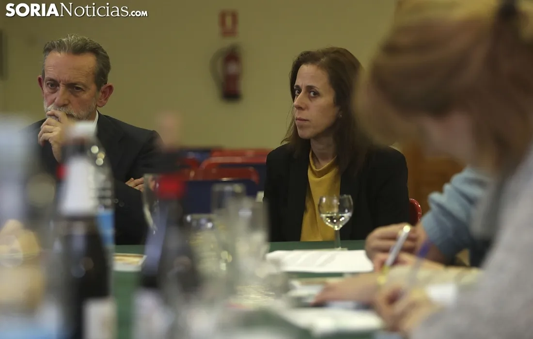 Una imagen de la presentación este jueves de las actividades de la FDS para 2018. /SN