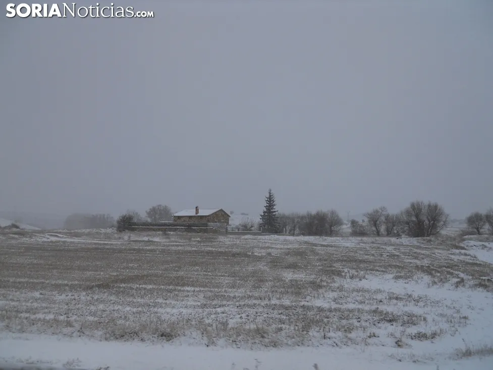 Nieve 2017 en Soria capital. Soria Noticias