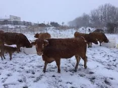 Los pueblos sorianos nevados