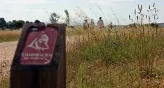 Foto 3 - El Camino del Cid concluye la campa&ntilde;a 2017 en Soria con 371 intervenciones