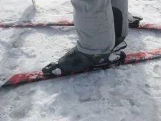La nieve ha hecho disfrutar a grandes y pequeños