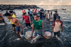 Fotografías premiadas en el IV Certamen Internacional de Fotografía de la Dieta Mediterránea 'Fray Luis de Berlanga'.