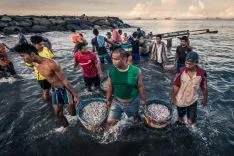 Fotografías premiadas en el IV Certamen Internacional de Fotografía de la Dieta Mediterránea 'Fray Luis de Berlanga'.