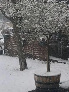 Los pueblos sorianos nevados