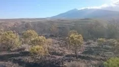 Foto 3 - Incendio forestal en &Aacute;greda