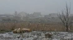Los pueblos sorianos nevados