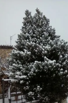 Los pueblos sorianos nevados