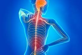 Conferencia para dar luz a la esclerosis múltiple