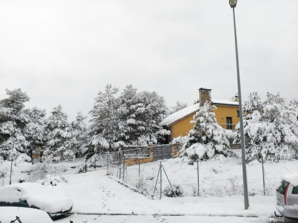 Domingo de nieves en Soria.