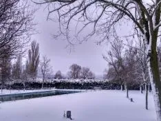 Domingo de nieves en Soria.