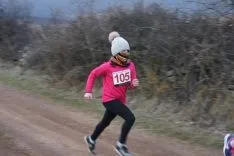 VI San Silvestre de Tera