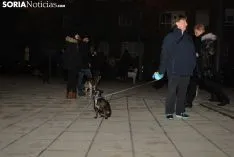 Una imagen de la bendición este miércoles. /SN